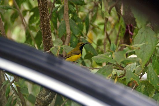 Unser Besuch auf der Autotür