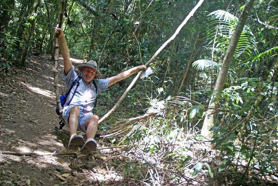 Tarzan auf der Dschungelschaukel