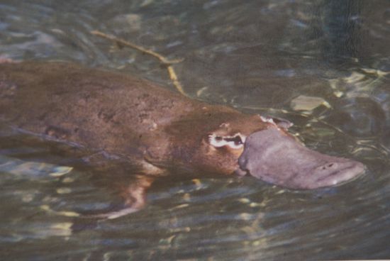 Das wäre ihr Preis gewesen...