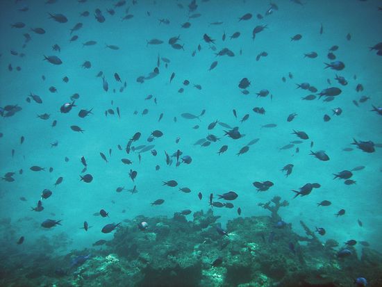 Ausschwärmen ist angesagt...