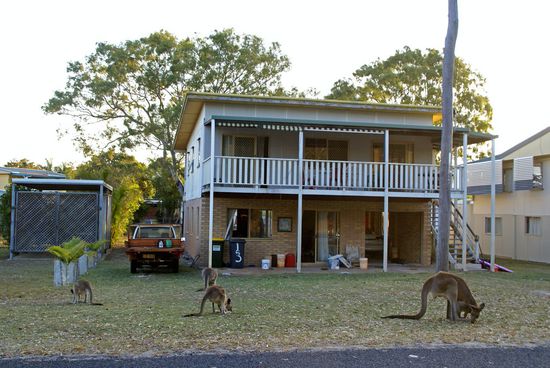 In den Vorgärten der Stadt.