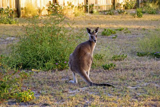 Im Garten unseres B&amp;B's
