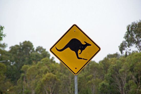 Hier stimmt das auf jeden Fall!