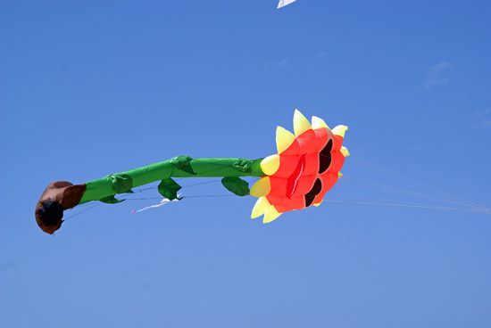 Ein Sonnengruß nach Hause!