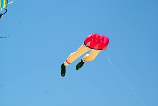 Nach dem Haiangriff... 