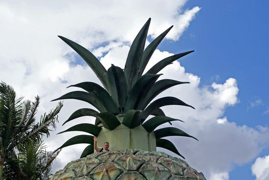 Huhu, hier bin ich !