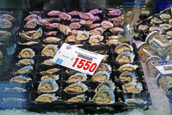 Es ist Austern-Saison