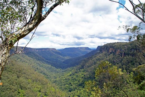 Blick über den Regenwald