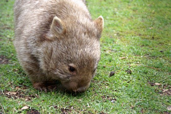 Ist der nicht niedlich ????