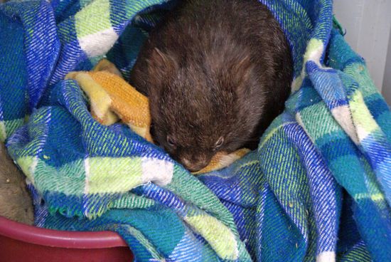 Zurück im Kuschelbettchen