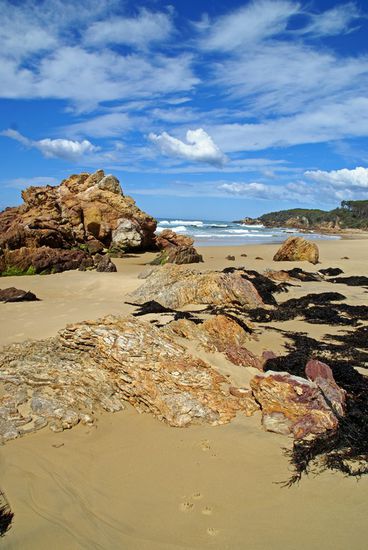 Könnt ihr den Kamel(?)kopf erkennen? Vorort haben wir nix gesehen, erst auf den Fotos.