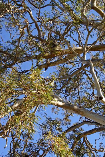 Noch eine Suchaufgabe...