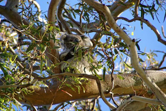Hier haben wir ihn "hingesetzt"...