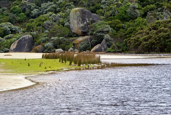 Wer wohnt hier in den Wetlands?