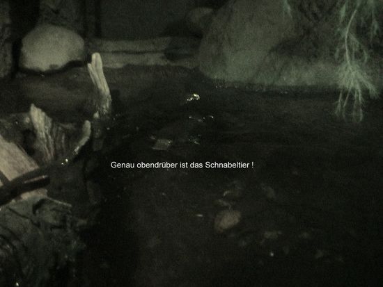 Könnt ihr es erahnen??