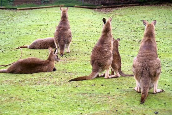 Was? Umdrehen? Für wen? Nö, wir kennen keine Babsi !! 