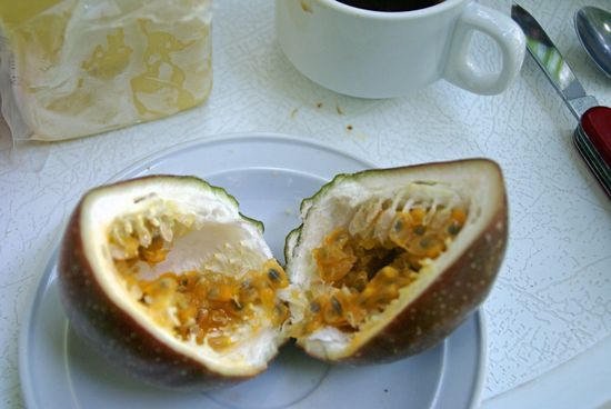 riesengroße leckere Passionsfrüchte