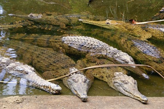 Wer wöllte da nicht baden gehen???