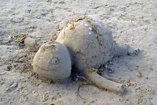 So viel Zeit muss sein !