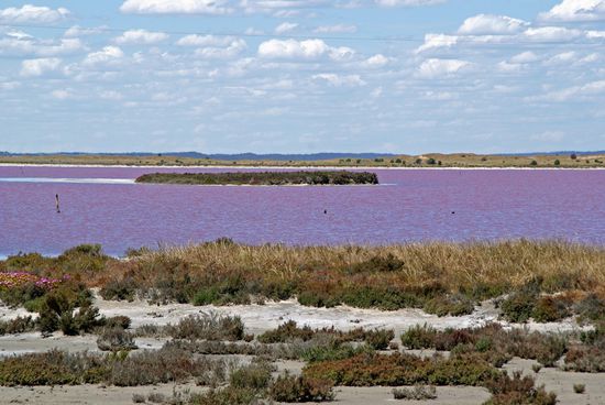 Pink Lake