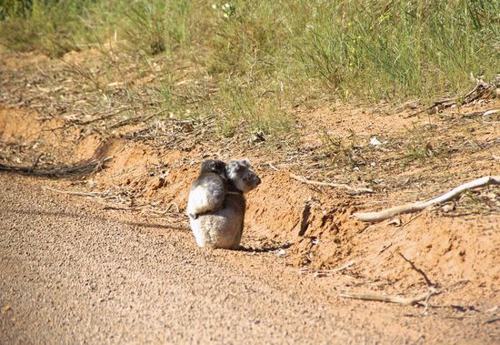 Morgens an der Strasse