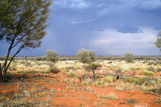 Nochmal Fotoglück gehabt!