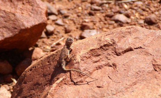 farblich komplett angepasst