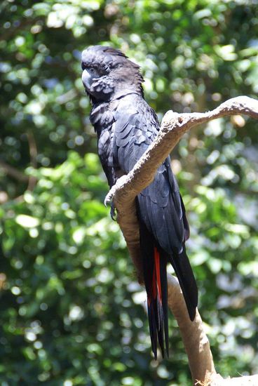 Das ist jetzt aber wirklich der Beweis!!!
