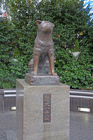 Hatchiko