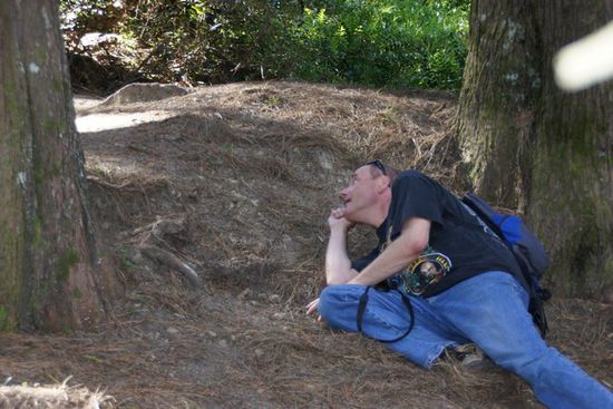 Hobbit versteckt sich im Wald !