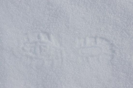 Deine Spuren im Schnee...
