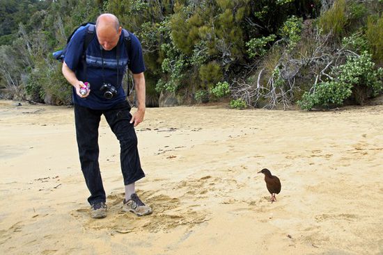Selbst beim "Sandfliegennachsprühen" muss sie dabei sein.