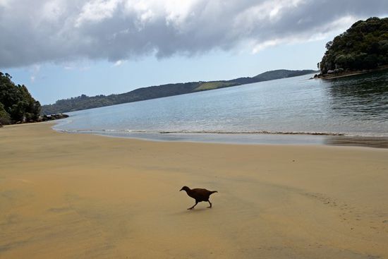 running Weka