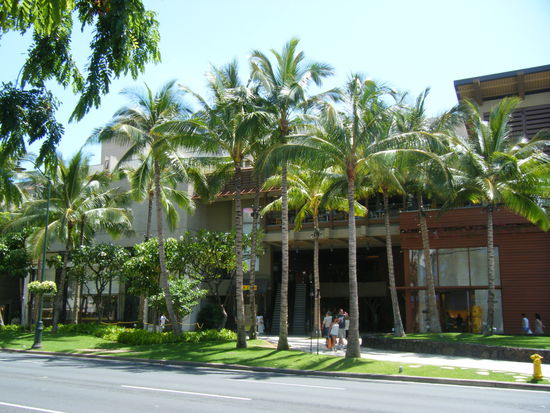 Ein von Palmen verborgenes Shopping-Centre.