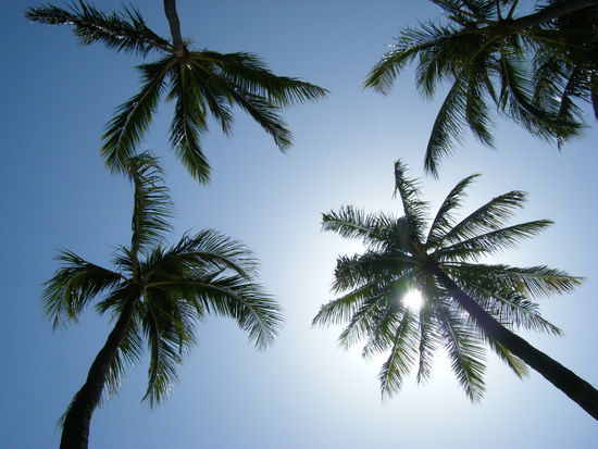 freitag: das ist das, was ich nach der schule sehe. zum neidisch werden, gell? 