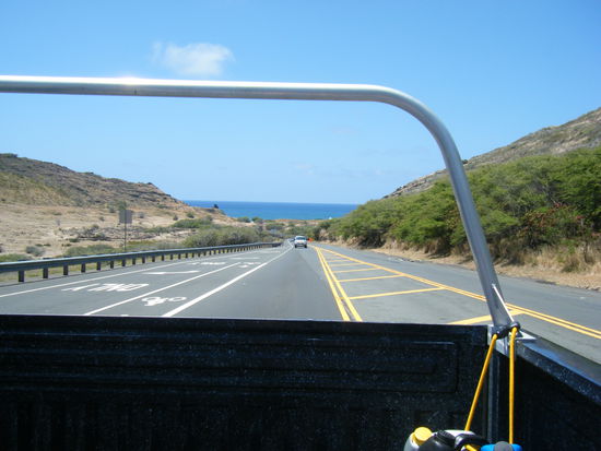 sonntag: wie jedes wochenende sind wir auch diesmal wieder zu den trucks gefahren. und natürlich stilecht auf der ladefläche eines pick-ups. voll cool, aber auch gefährlich.