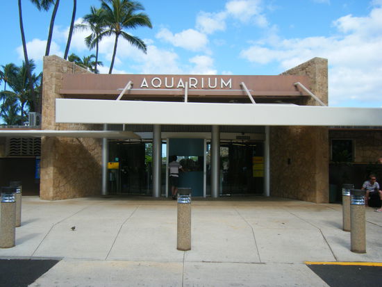 der eingang zum aquarium, wer hätte es gedacht.