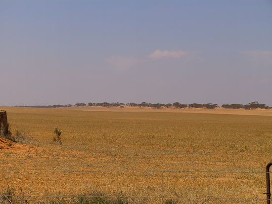 Etwas oede beim Autofahren