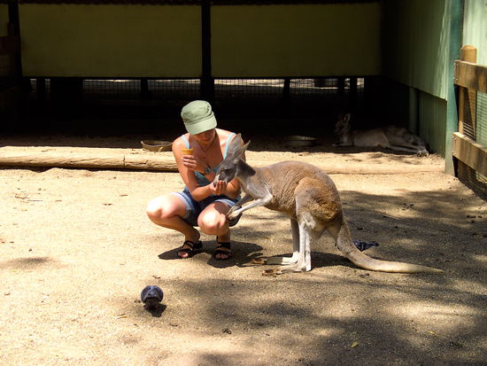 Das war ihr Lieblingskanguruh