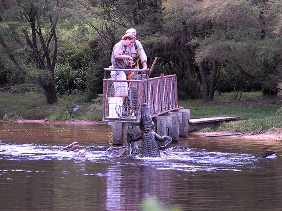 Es gab Huenchen zu Mittag