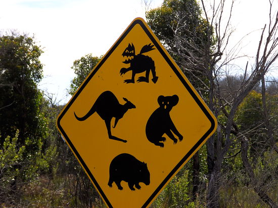 Das oberste ist das gefragte