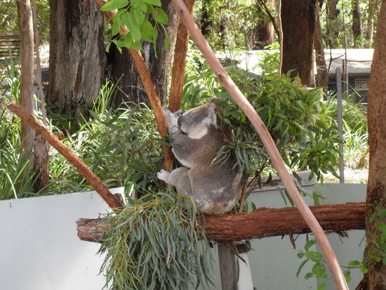 Sie ist schon 25 Jahre alt!