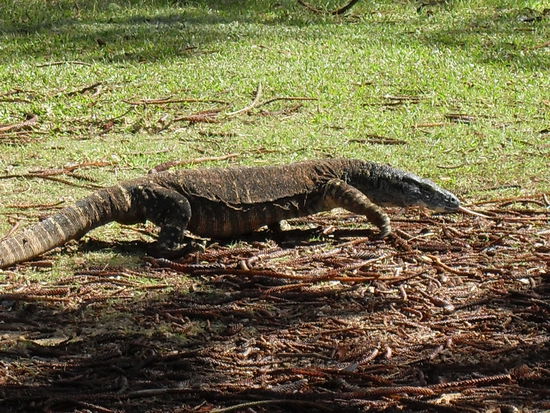 Das war einmal unser Gesselschaft beim Lunch