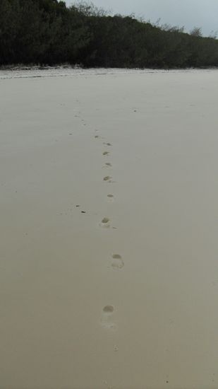 Traumhaft, nicht ; )