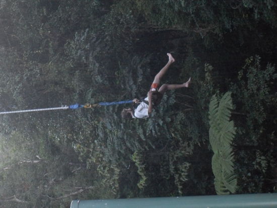 Bungy