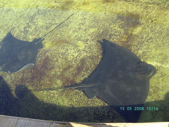 Sind die nicht suess!