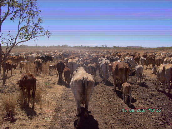 Diesen Anblick konnte ich den ganzen Tag geniessen