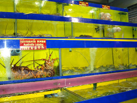 Schaurige Auswahl auf dem Parkplatz eines 5-Sterne-Hotels.