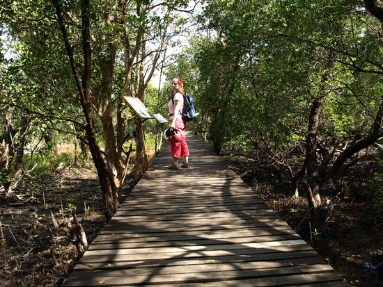 Die königlichen Mangroveninfos gibts leider nur auf thai.