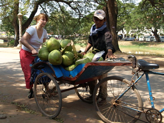 Lecker frisches Getränk, organische Verpackung: Grüne Kokosnuss